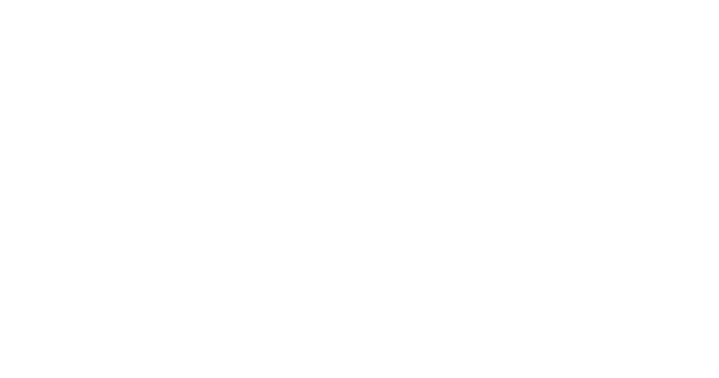 Portal da Pedra logo white
